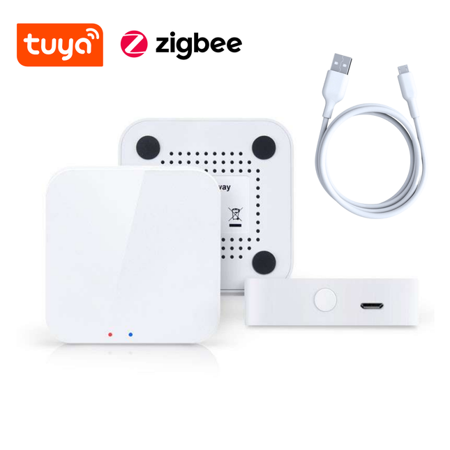 VH Control Zigbee Gateway voor Echo Zigbee