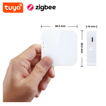 VH Control Zigbee Gateway voor Echo Zigbee